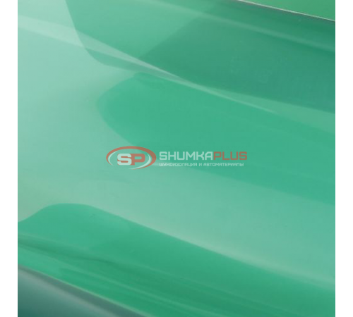 купить Атермальная тонировка зеленая в Москве