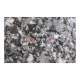 StP BlackTon 4 Mini 