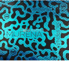 StP Murena 3