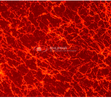 Виниловая пленка кованый карбон лазер мрамор красный