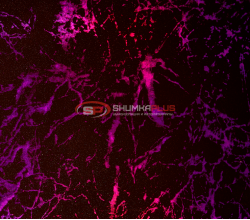 Виниловая пленка кованый карбон лазер мрамор фиолетовый