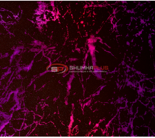 Виниловая пленка кованый карбон лазер мрамор фиолетовый