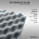 StP ConvoLite 30 600